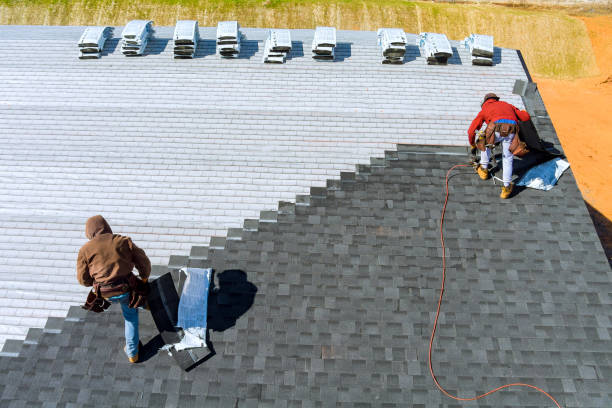 Best Flat Roof Repair Services  in Mount Pulaski, IL