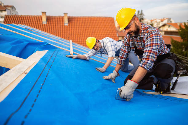Professional Roofing Contractor in Mount Pulaski, IL