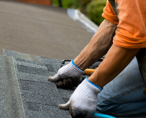 Roof Waterproofing Services in Mount Pulaski, IL